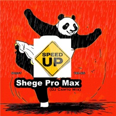 Shege pro Max - With Spirit-T (DJ Camto Speed Up)