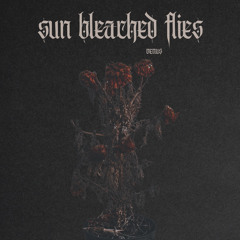 sun bleached flies