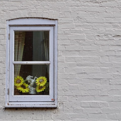 Cracked Window Panes