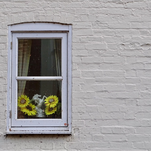 Cracked Window Panes