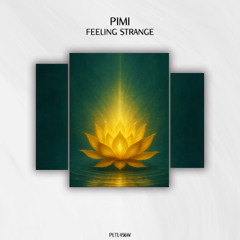 PIMI - Feeling Strange (Original Mix)