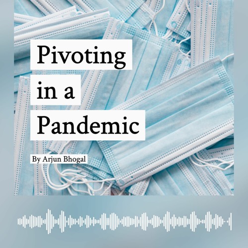 3. Politics In A Pandemic