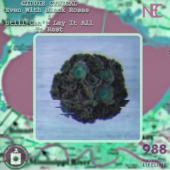 Even With Black Roses i Still Can't Lay It All To Rest