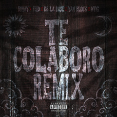 Te Colaboro (Remix) [feat. NTG]