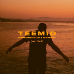 TEEMID - Somewhere Only We Know Feat. LissA