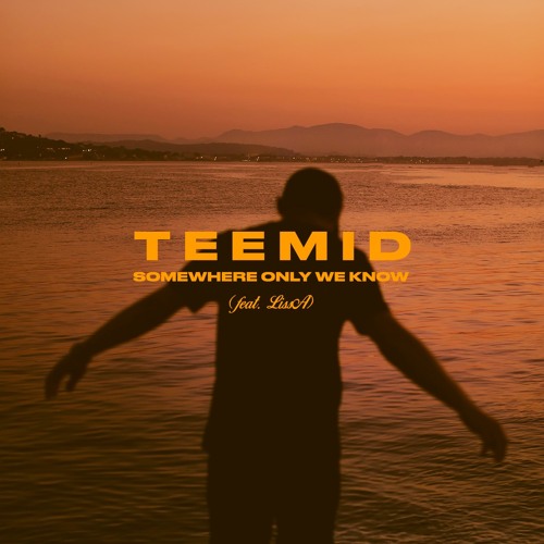 TEEMID - Somewhere Only We Know Feat. LissA