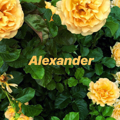 ////Alexander////