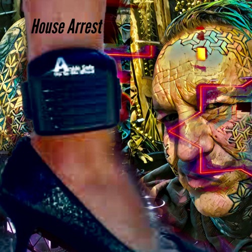 HOUSE ARREST MILES JACKSON