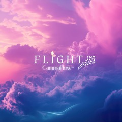 Flight