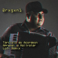 Tarcísio do Acordeon - Aprendi A Maltratar(lofi remix)