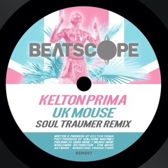 Kelton Prima - UK Mouse (Soul Traumer Remix)