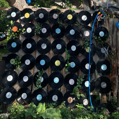 Seti Gathering BassBoutique DJ-Set 2025