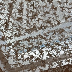 lonesum (prod. giper.hyper)