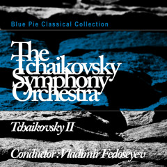 Suite No. 1 For The Orchestra in D Minor Op.43 - Intermezzo