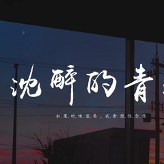 你的大表哥曲甲 - 沉醉的青丝 (想你 念你dj版)