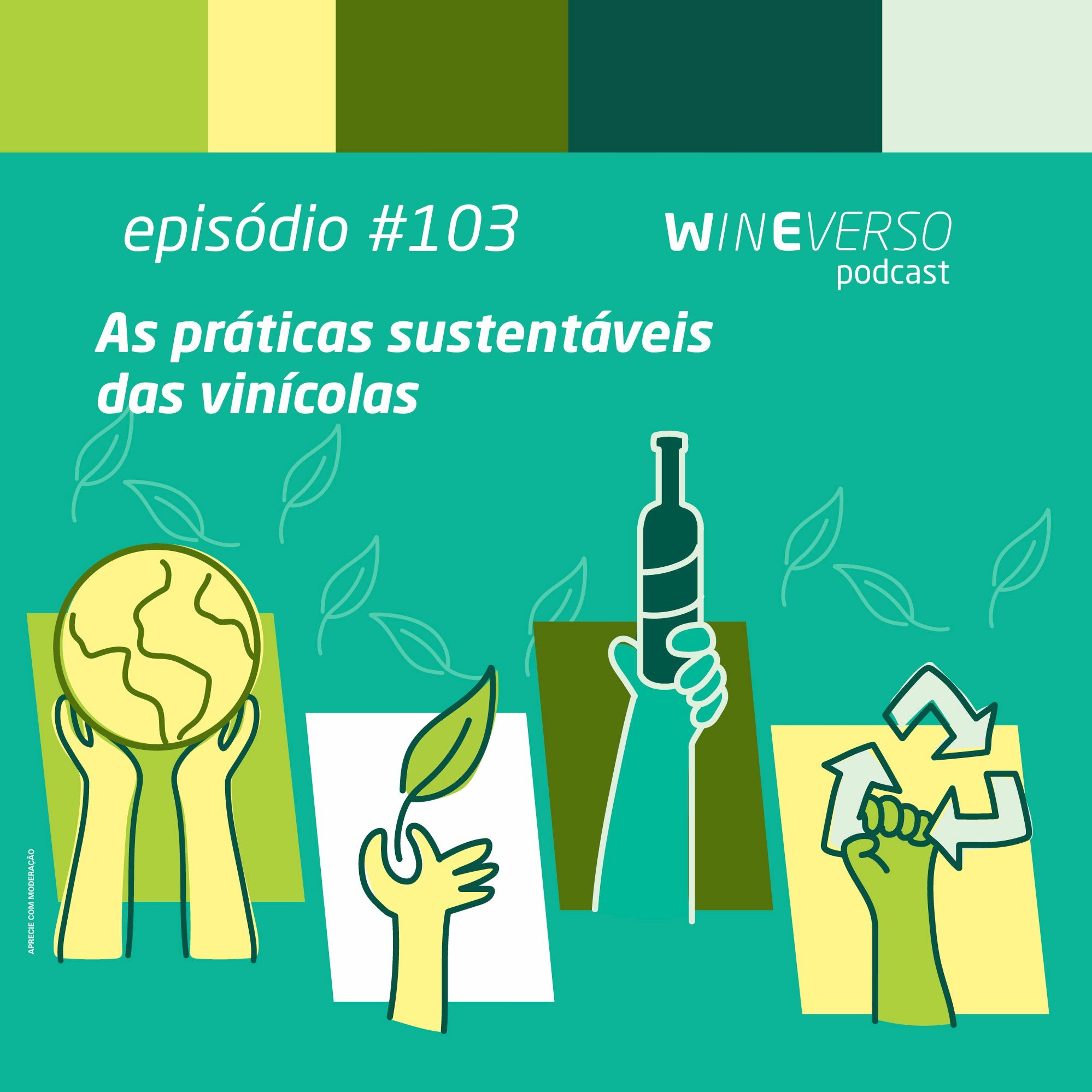 As práticas sustentáveis das vinícolas