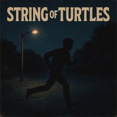 String of Turtles "I Run At Night" Evolve Danville 10.15.25 Drew.wav