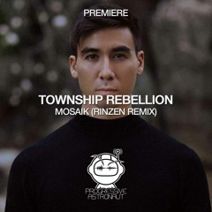PREMIERE: Township Rebellion - Mosaik (Rinzen Remix) [Desert Hearts Black]