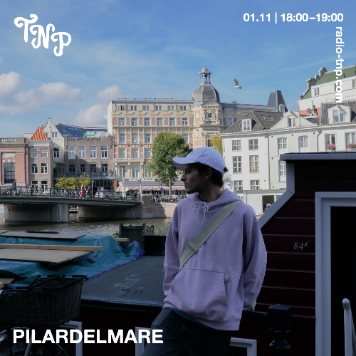 Pilardelmare