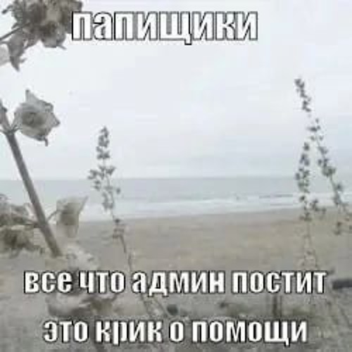 solo tu - highland