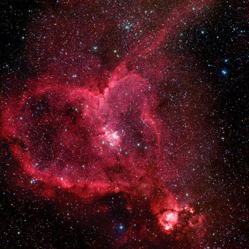 Dont make me swing my draco「prod. jesseonmeth」