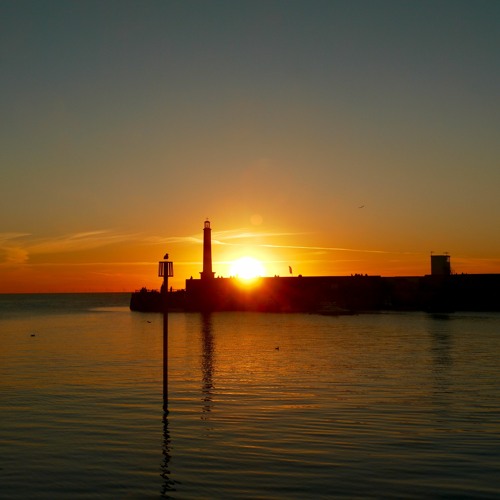 Solarwaves: Ricky Cox Summer 2021 mix