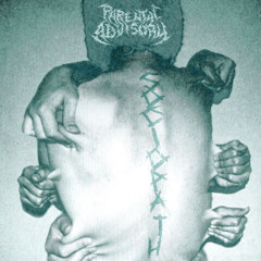 KING SOCIO