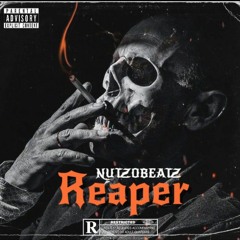 NutzoBeatz - Reaper 2024-01-31 10_52.m4a
