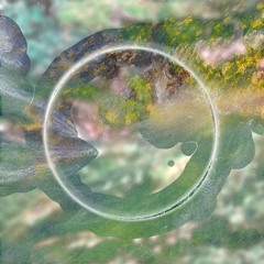 SERIES 03