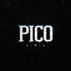 PICØ