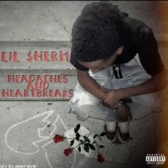 Time Heals -Lil $herm