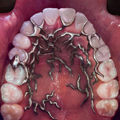 February 2024: If It Looks And Smells Like A Cult, It Is A Cult