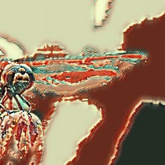 Dragonfly (naviarhaiku399)