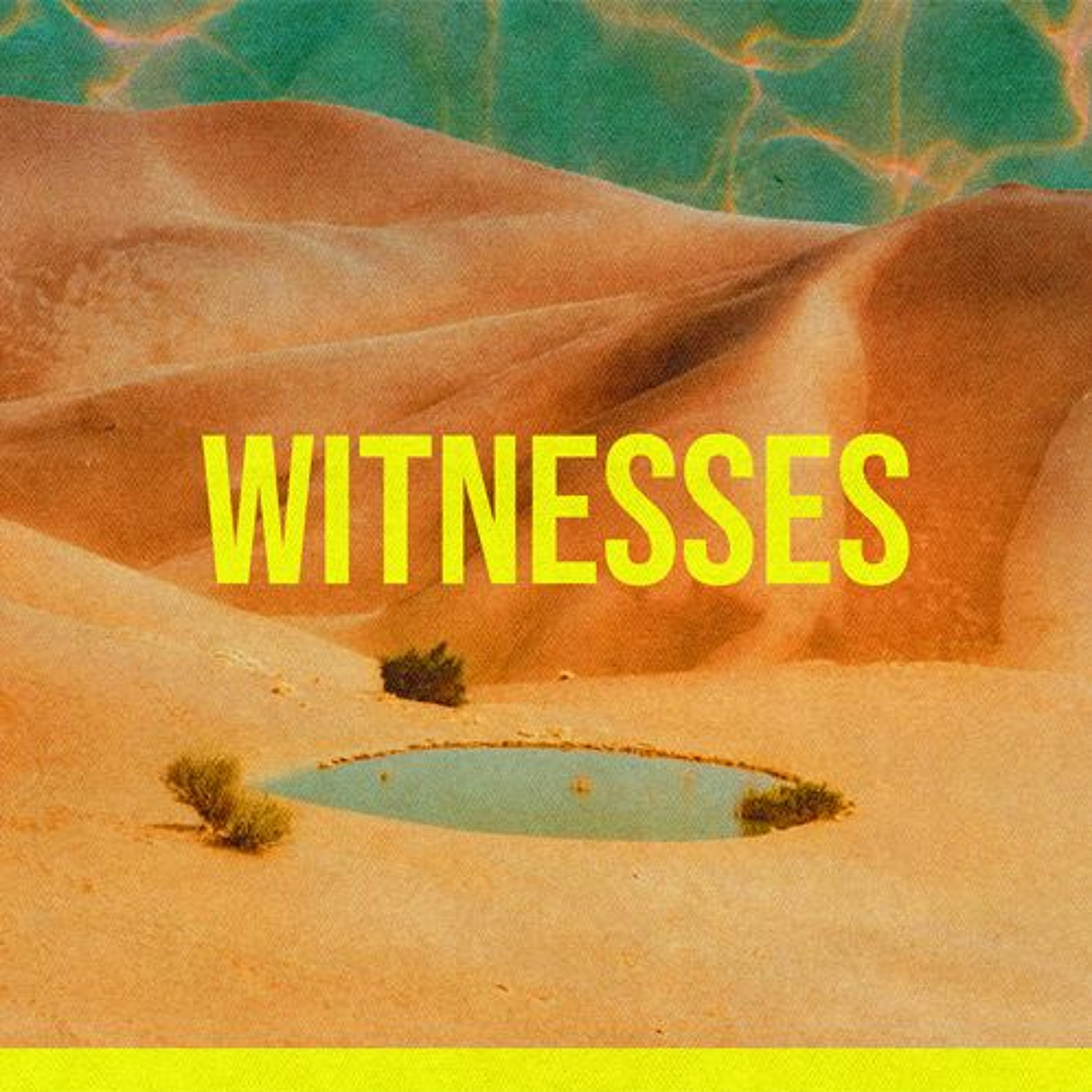 In Jerusalem and Judea // Thad Spring