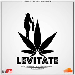 LEVITATE - A 420 SPECIAL TREAT
