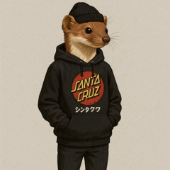 new capo again 6th take 2