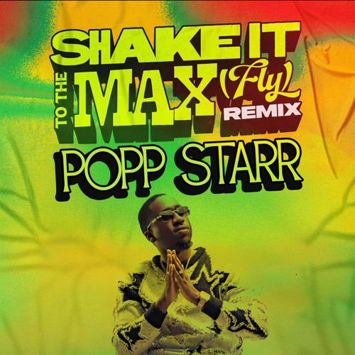 Shake It To Di Max (Back Shot Pose) [Remix] Popp Starr