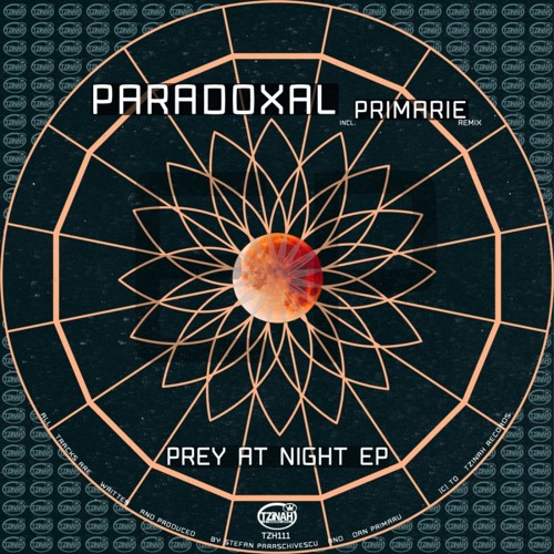 Mysterious Stake (Original Mix)
