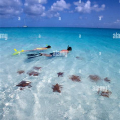 Best Turks And Caicos Snorkeling Grace Bay Prices Reviews