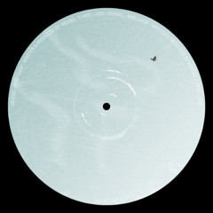 PREMIERE: Wessel - Bird Chop