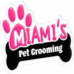 Pampering Your Furry Friends The Best Pet Grooming Services In Miami