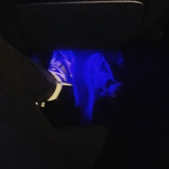black light (numby).mp3