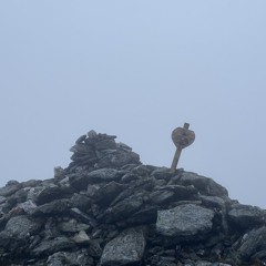 ON THE BRASSY KNOLL