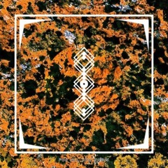 DLoves May 2021 Picks