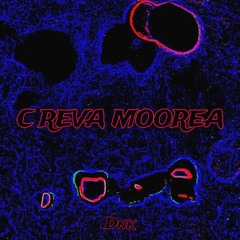 C REVA MOOREA - (Dnk Saah) [Exclus nmf]