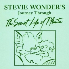 Send One Your Love (Stevie Wonder)