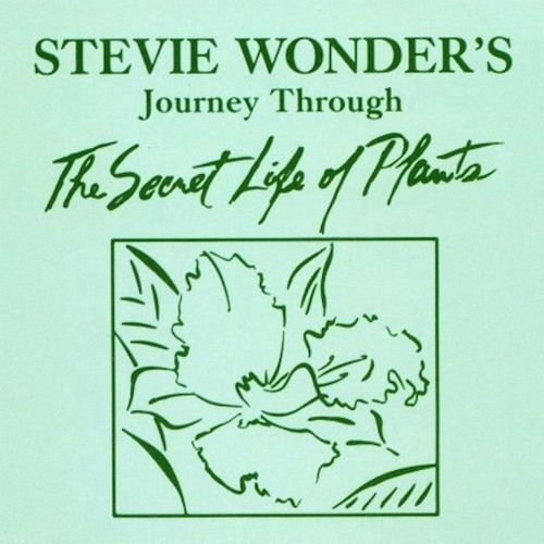 Send One Your Love (Stevie Wonder)