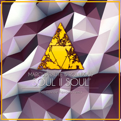Premiere: Marcus Raute & Ron Boss - Soul II Soul (Davide Ferrario Remix) [Colour In Music]