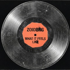 Zoidbrg - What It Feels Like