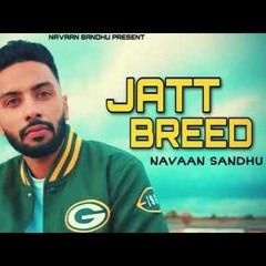 Jatt Breed By Navaan Sandhu || Latest Punjabi Song 2020